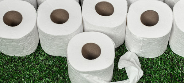 Toilet Paper and the Environment: What You Need to Know